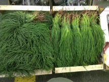 monks beard in bunches, barba di fratte