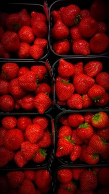 dutch strawberries