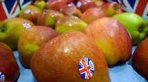 English breaburn apples with union jack sticker