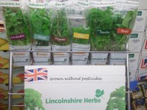 Potted herbs on a marketing stand