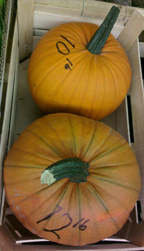 two carving Halloween pumpkins in a wooden box