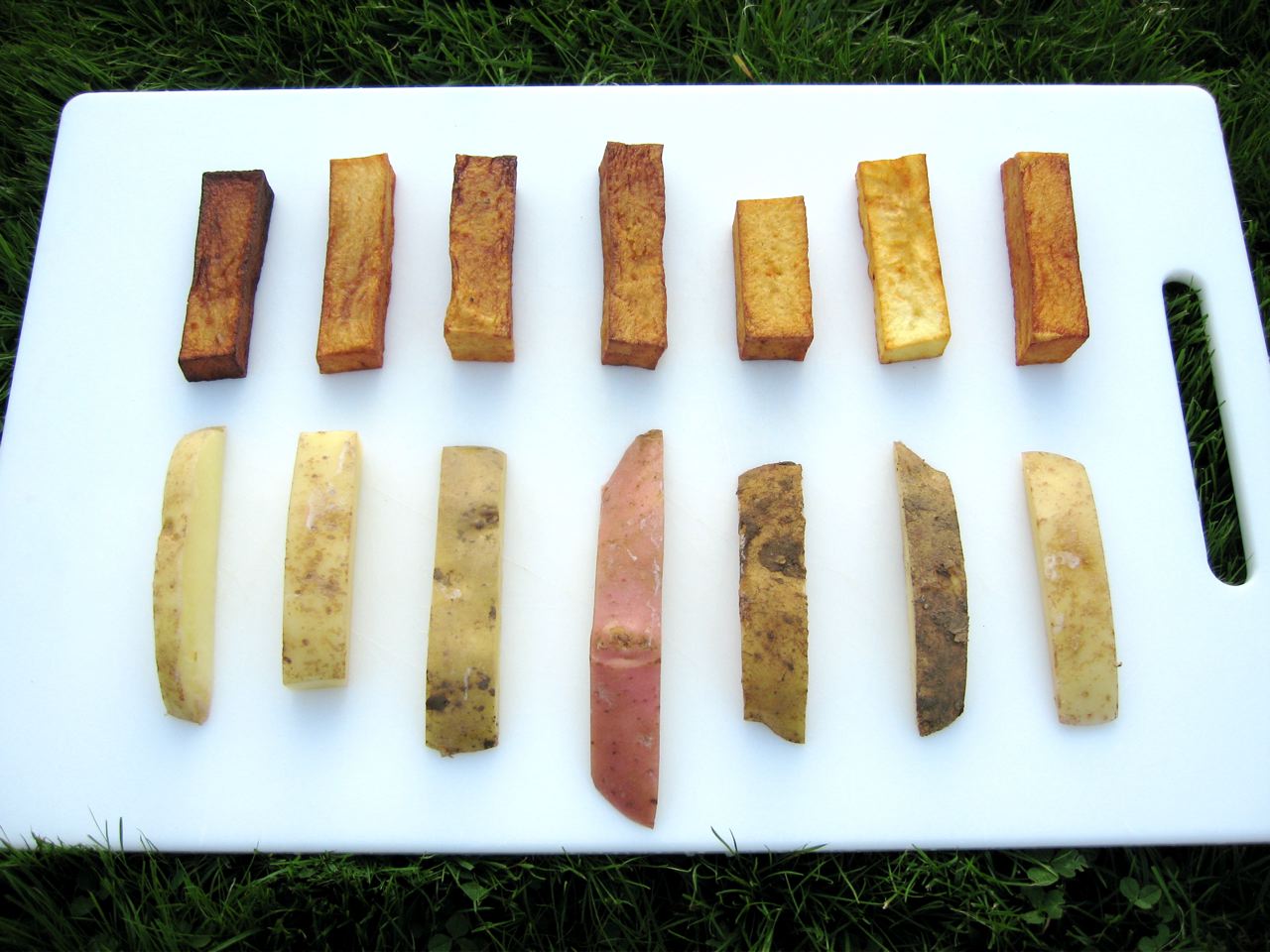 big chips test, raw and cooked chips on a plastic white board in grass