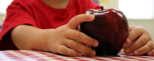 "Child holding apple in classroom. Focus primarily on apple, also on fingers of child's left hand."