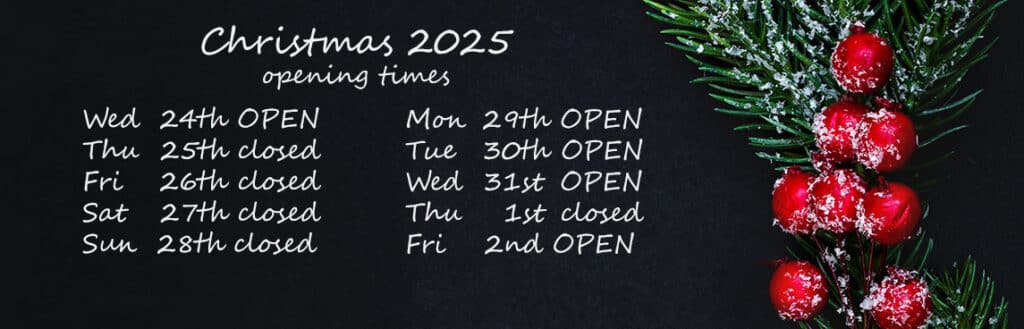 christmas 2025 - delivery times